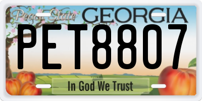 GA license plate PET8807