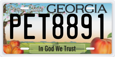 GA license plate PET8891
