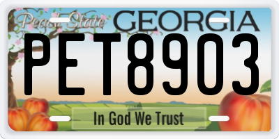 GA license plate PET8903