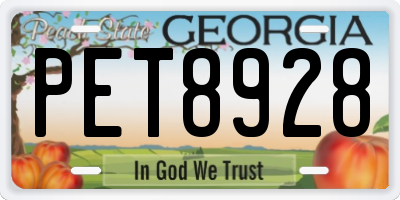 GA license plate PET8928