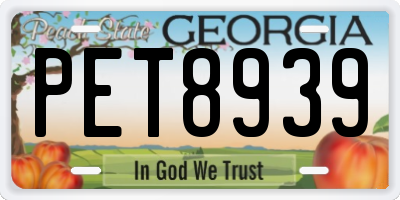 GA license plate PET8939
