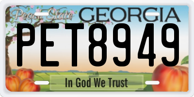 GA license plate PET8949
