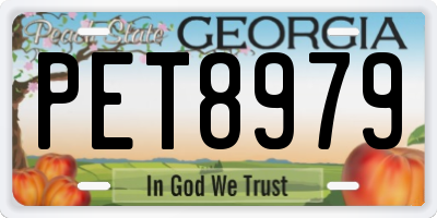 GA license plate PET8979