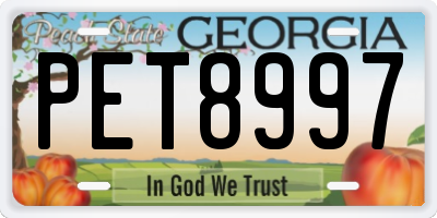 GA license plate PET8997