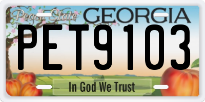 GA license plate PET9103