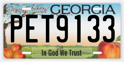 GA license plate PET9133