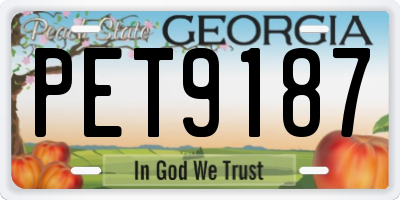 GA license plate PET9187