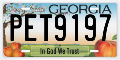 GA license plate PET9197