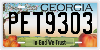 GA license plate PET9303