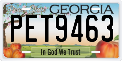 GA license plate PET9463