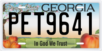 GA license plate PET9641