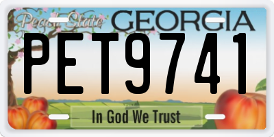 GA license plate PET9741