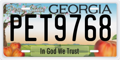 GA license plate PET9768