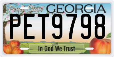 GA license plate PET9798