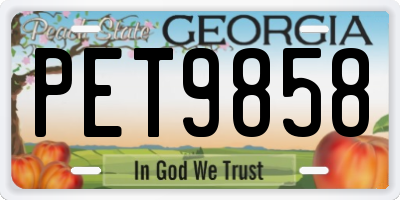 GA license plate PET9858