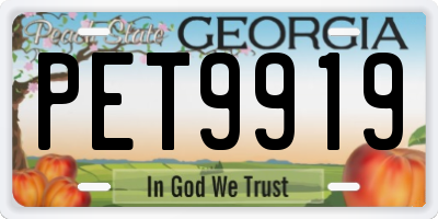 GA license plate PET9919