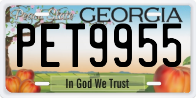 GA license plate PET9955