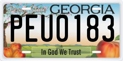 GA license plate PEU0183