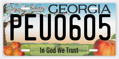 GA license plate PEU0605