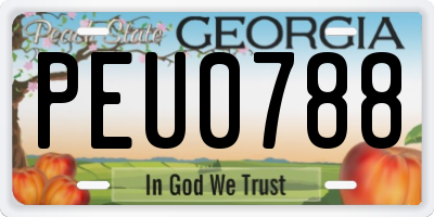 GA license plate PEU0788