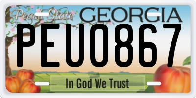 GA license plate PEU0867