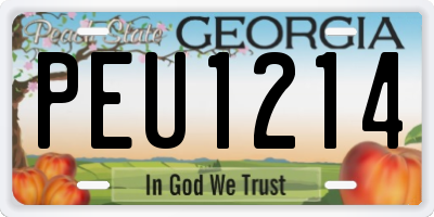 GA license plate PEU1214