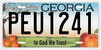 GA license plate PEU1241