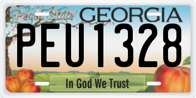 GA license plate PEU1328