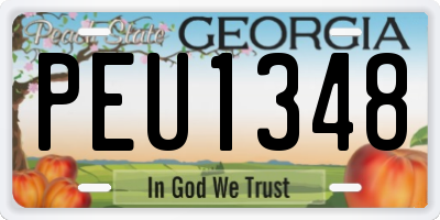 GA license plate PEU1348