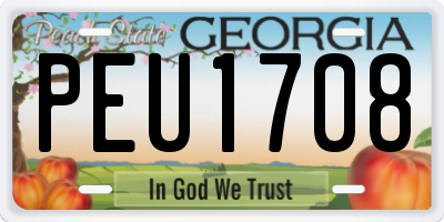 GA license plate PEU1708