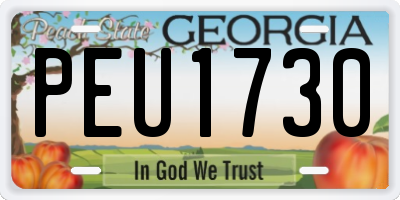 GA license plate PEU1730