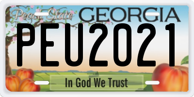 GA license plate PEU2021