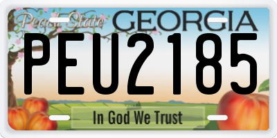 GA license plate PEU2185