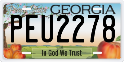 GA license plate PEU2278