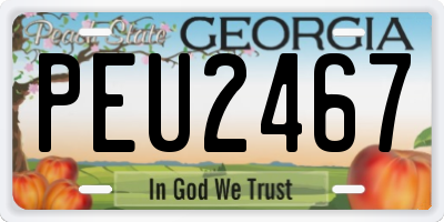 GA license plate PEU2467