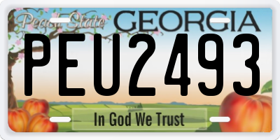 GA license plate PEU2493