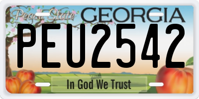 GA license plate PEU2542