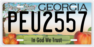 GA license plate PEU2557