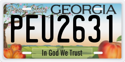 GA license plate PEU2631