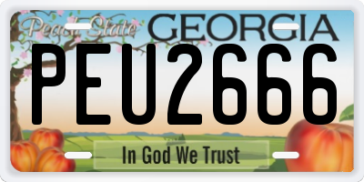 GA license plate PEU2666