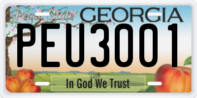 GA license plate PEU3001