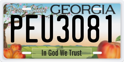 GA license plate PEU3081