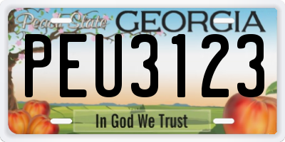 GA license plate PEU3123