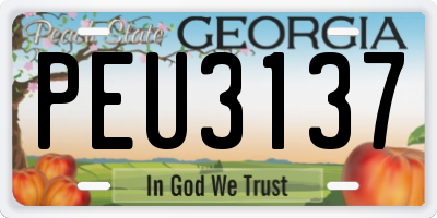 GA license plate PEU3137