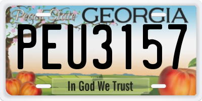 GA license plate PEU3157