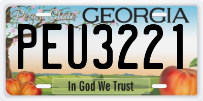 GA license plate PEU3221