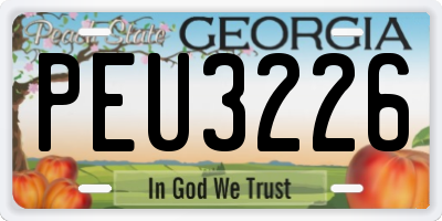 GA license plate PEU3226