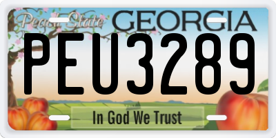 GA license plate PEU3289