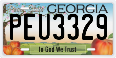 GA license plate PEU3329