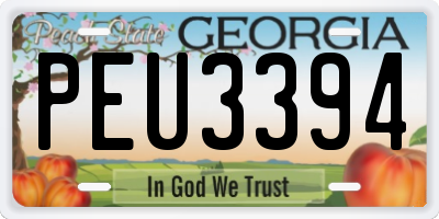GA license plate PEU3394
